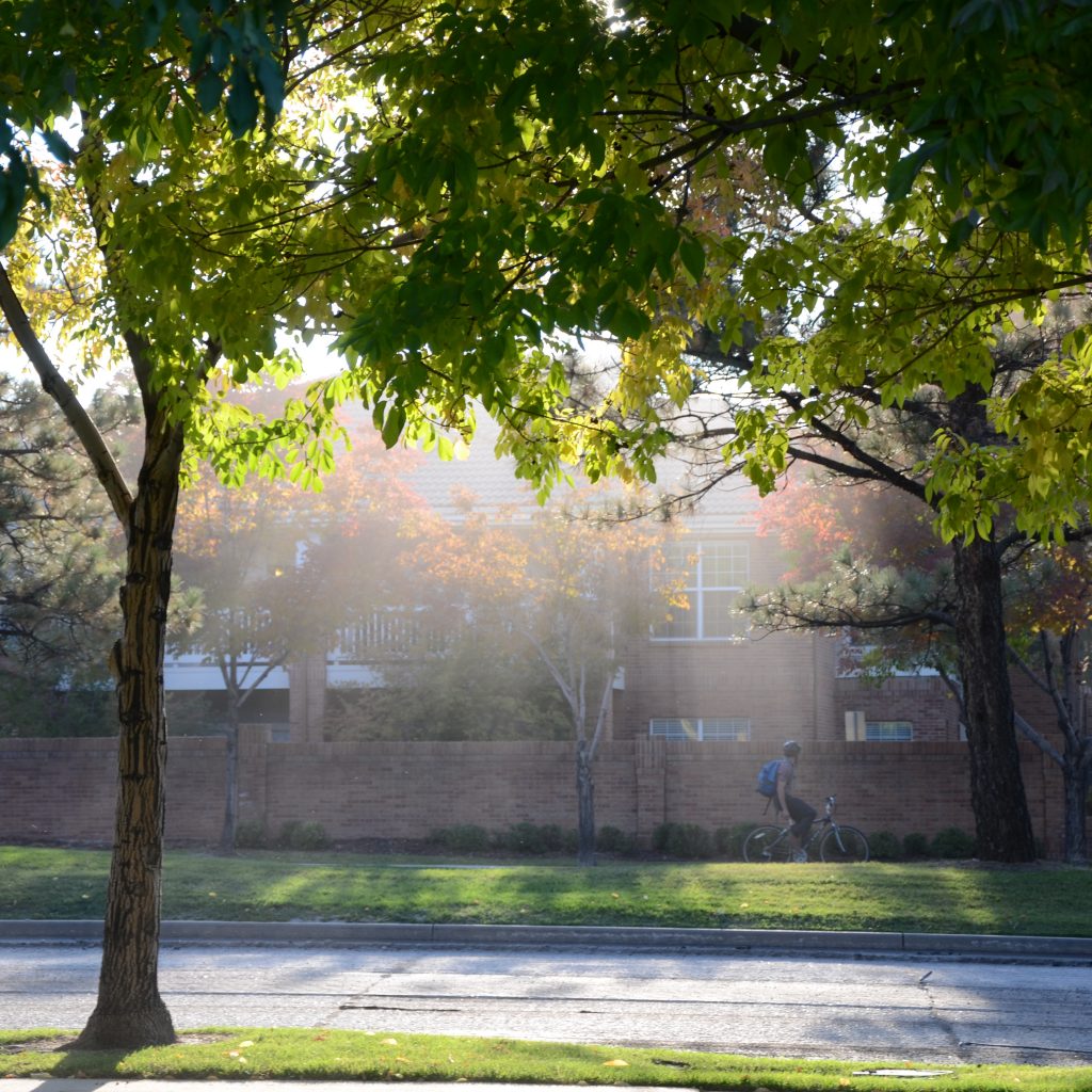 Ash Trees Begin To Turn In Denver's Wallace Park On Oct. 5, 2017.