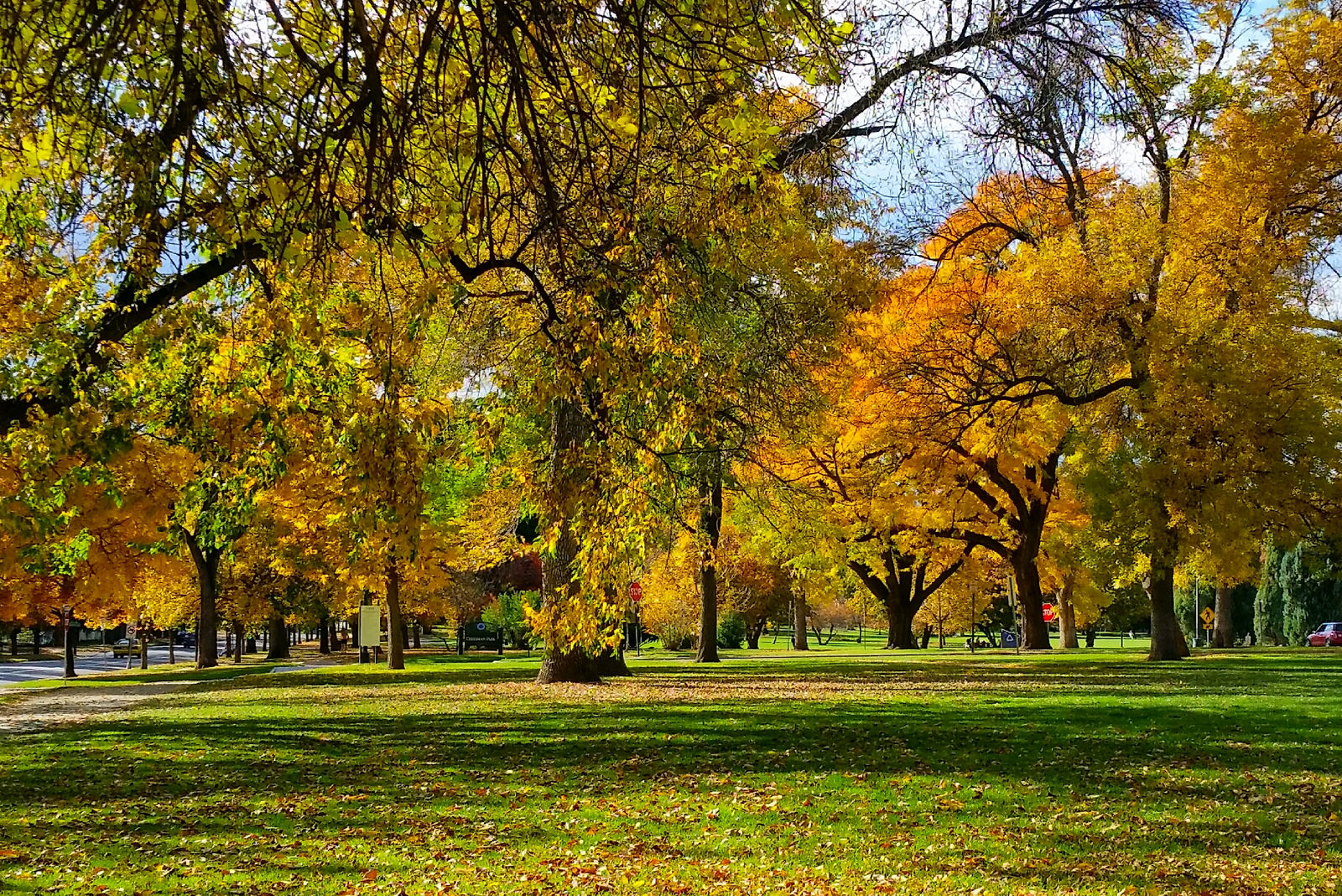 Beautiful Park Fall