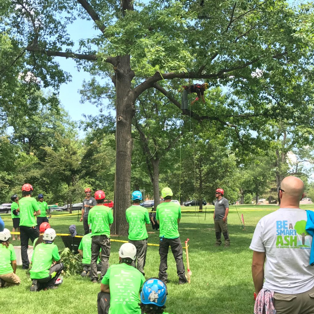 Wearing Be A Smart Ash Shirts, Arborists Gather In Denver's Washington Park For The 2017 International Society Of Arboriculture’s Rocky Mountain Chapter Tree Climbing Competition.