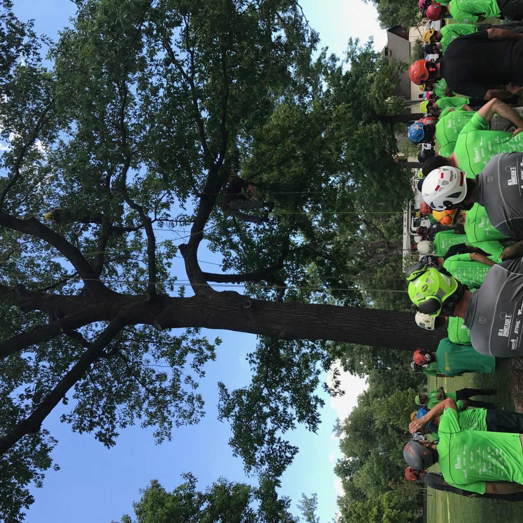 Wearing Be A Smart Ash Shirts, Arborists Gather In Denver's Washington Park For The 2017 International Society Of Arboriculture’s Rocky Mountain Chapter Tree Climbing Competition.