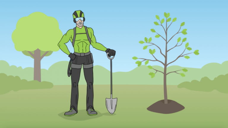 Emerald Ash Borer Treatment Options | Be a Smart Ash