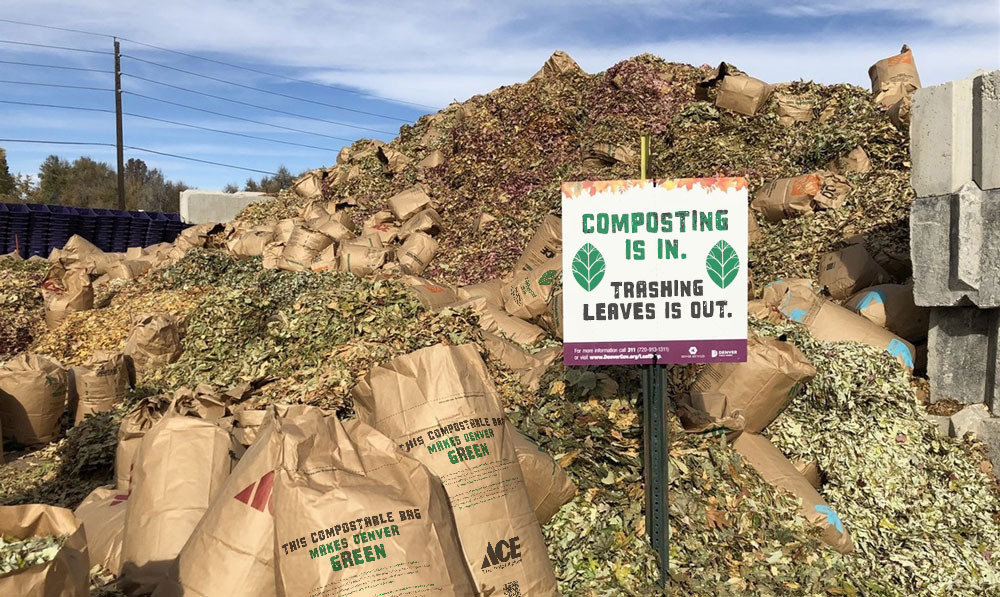 LeafDrop composting site with a giant pile of filled leaf bags