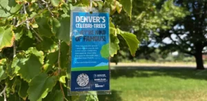 Close up of Celebri-Trees tag hanging on a branch