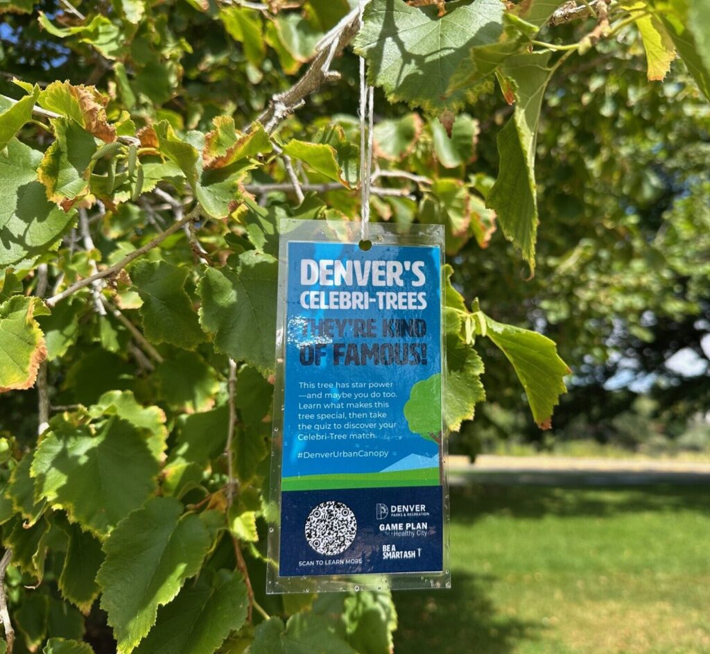 Close up of Celebri-Trees tag hanging on a branch